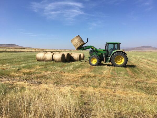 CC Agri Mounted Loaders - Image 7