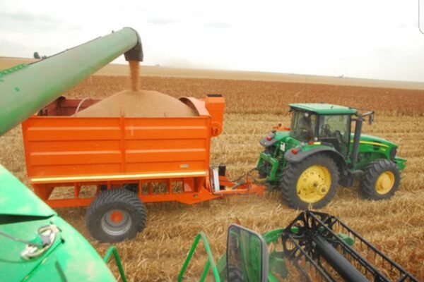 Chaser Bin (Tapkar) - Image 3