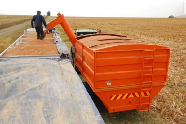 Chaser Bin (Tapkar) - Image 6