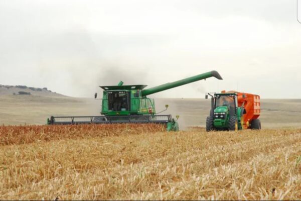 Chaser Bin (Tapkar) - Image 7